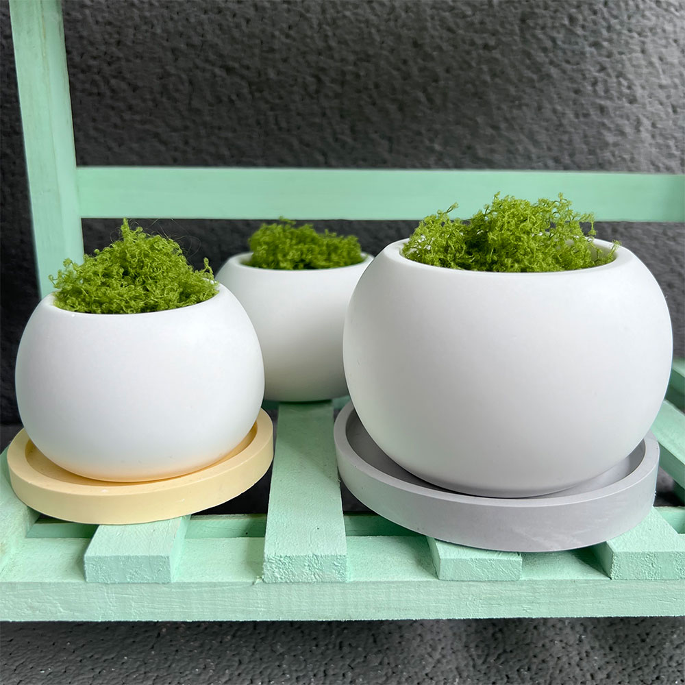 Grandi stampi per fioriere in  - Potsticker Mold recensione e prezzo
